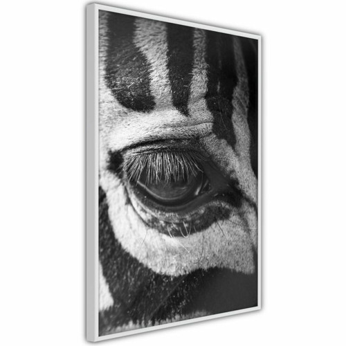 Paris Prix - Affiche Murale Encadrée Zebra Is Watching You 20 x 30 cm Blanc Paris Prix  - Affiches, posters