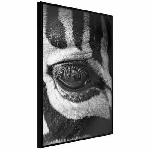 Paris Prix - Affiche Murale Encadrée Zebra Is Watching You 40 x 60 cm Noir Paris Prix  - Décoration Noir et blanc