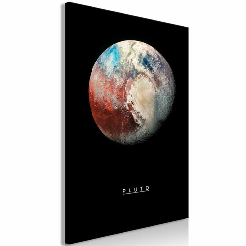 Paris Prix - Tableau Imprimé Pluto 60 x 90 cm Paris Prix  - Paris Prix