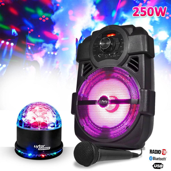 Enceinte nomade Party Light & Sound Enceinte karaoke mobile 250W 8" USB/BT/FM + Jeu de lumière effet Astro/Ovni + Micro