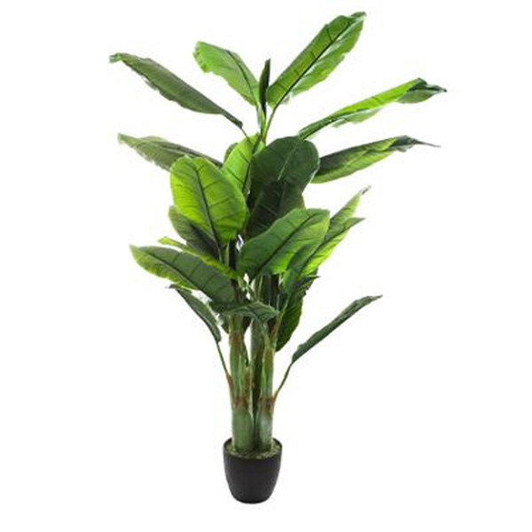 Plantes et fleurs artificielles Pegane Bananier vert en Polyéthylène - H 170 cm