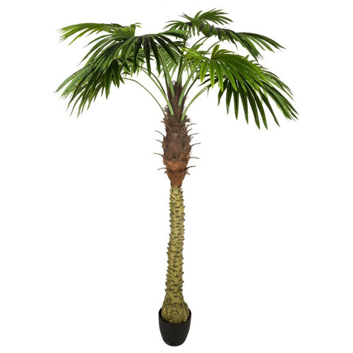 Pegane - Lot de 2 palmiers artificiels coloris Vert - H180 cm Pegane  - Autres plantes vivaces