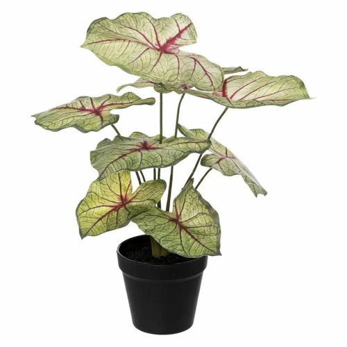 Pp No Name - Plante Artificielle en Pot Caladium 41cm Vert Clair Pp No Name  - Plantes et fleurs artificielles
