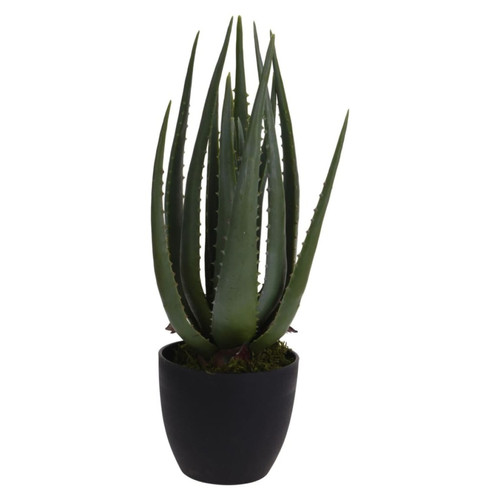 Progarden - ProGarden Plante artificielle en pot Aloe Vera 25x45 cm Progarden  - Progarden