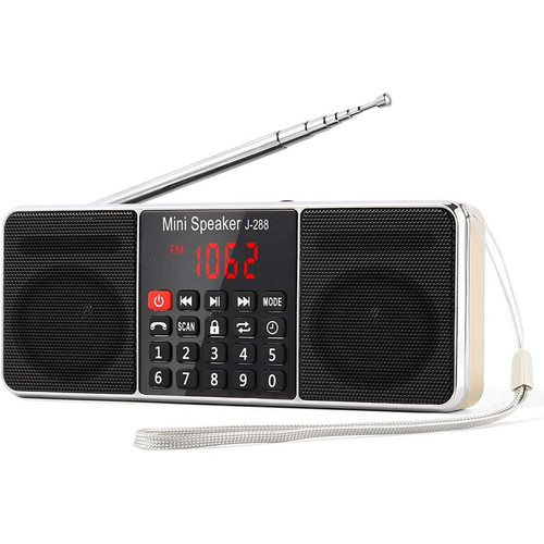 Prunus - radio portable bluetooth FM AM(MW) MP3 TF USB AUX avec Haut-Parleur or Prunus  - Son audio