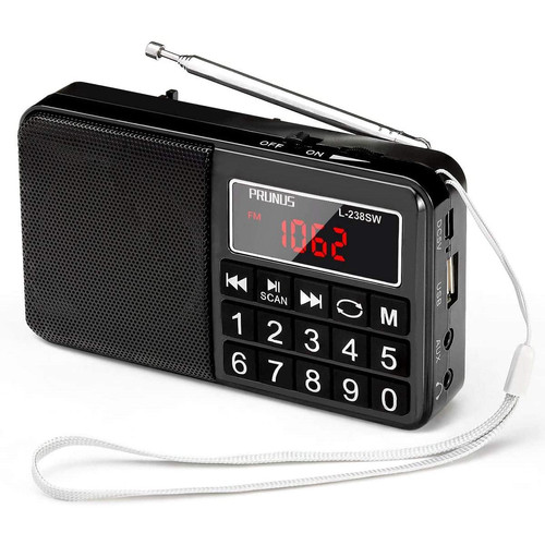 Prunus - radio portable FM AM (MW) SW USB Micro-SD MP3 avec batterie rechargeable 1200 mAh noir Prunus  - Enceinte et radio