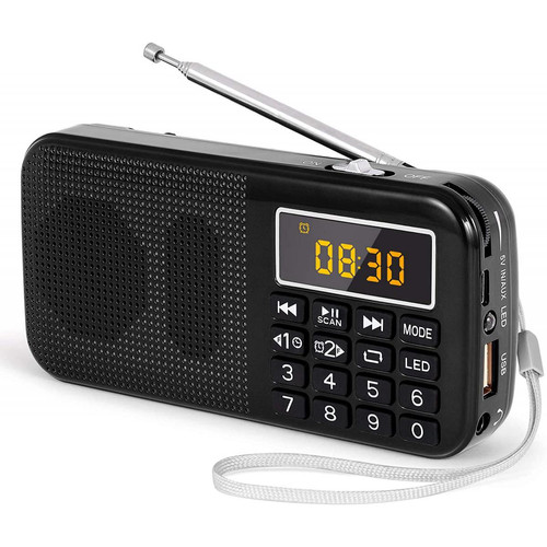 Prunus - radio portable MP3 SD USB AUX avec batterie rechargeable de grande capacité (3000mAh) noir Prunus  - Radio