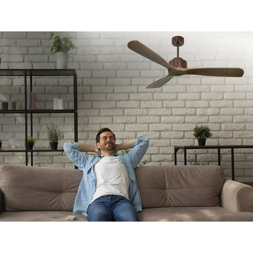 Purline Ventilateur de Plafond ø132 cm avec Wifi Réversible Hypersilence pour 35 m²