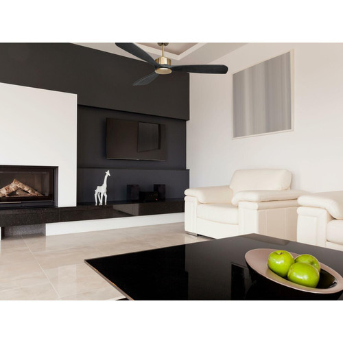 Purline - Ventilateur de Plafond ø132 cm avec Wifi Réversible Hypersilence pour 35 m² Purline  - Climatisation et chauffage