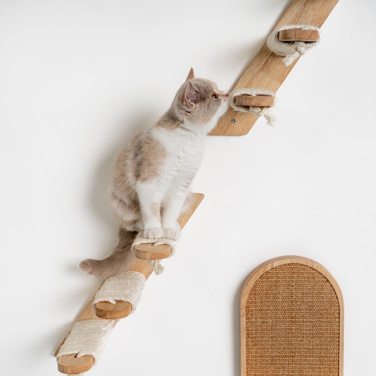 rhr quality rhrquality mur d'escalade chats - sets d'escaliers (beige)  crème