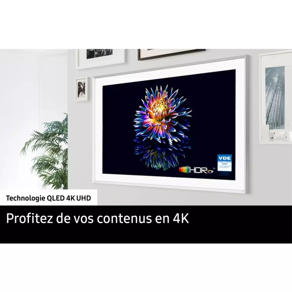 TV 56'' à 65'' TV QLED 4K 65" 165 cm - The Frame 2023 - QE65LS03BGUXXH  2023