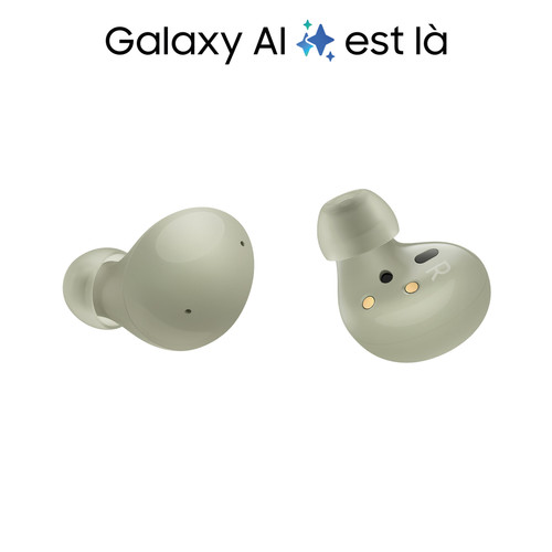 Ecouteurs intra-auriculaires Samsung SM-R177NZGAXEF