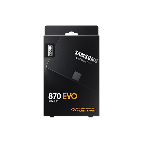 SSD Interne Samsung Samsung 870 EVO