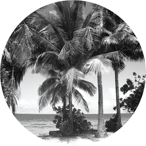 Sanders & Sanders - Sanders & Sanders papier peint panoramique rond adhésif paysage tropical avec des palmiers noir et blanc - Chambre Enfant Noir blanc