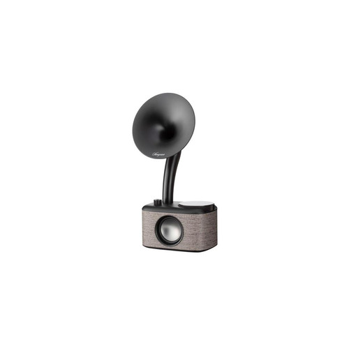 Sangean - Sangean CP-100D Gris et Noir - Enceinte Bluetooth Portable - Sangean