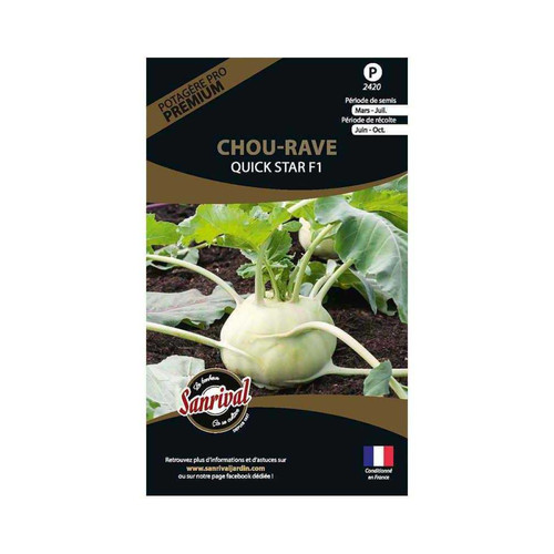 Sanrival - Graines potagères premium chou Chou rave Quick star Sanrival  - Graine & potager Rare