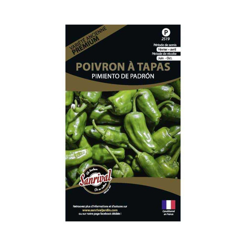 Sanrival - Graines potagères premium poivron Padron spécial tapas Sanrival  - Graine & potager Rare
