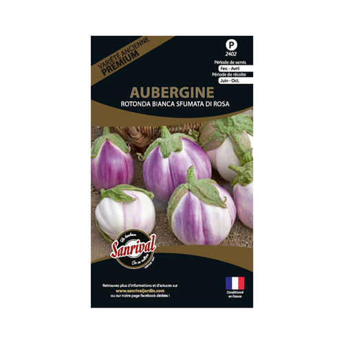 Sanrival - Graines potagères premium aubergine Bianca Sanrival  - Graine & potager Rare