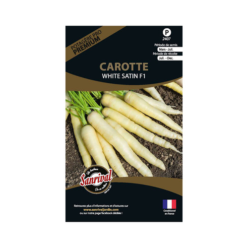 Sanrival - Graines potagères premium carotte White satin Sanrival  - Graine & potager Rare