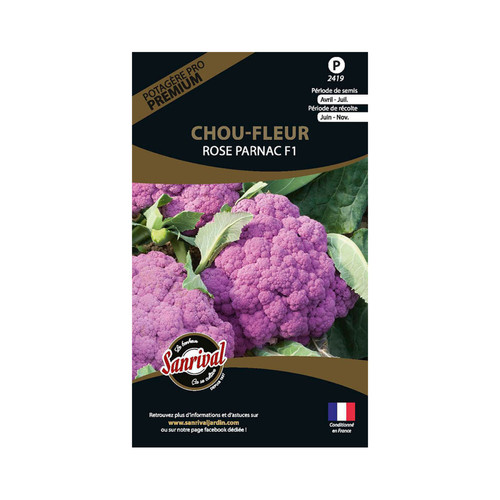 Sanrival - Graines potagères premium chou Chou-fleurs Rose Parnac Sanrival  - Graine & potager Rare