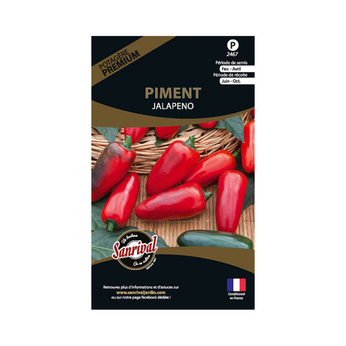 Sanrival - Graines potagères premium piment Jalapeno Sanrival  - Graine & potager Rare
