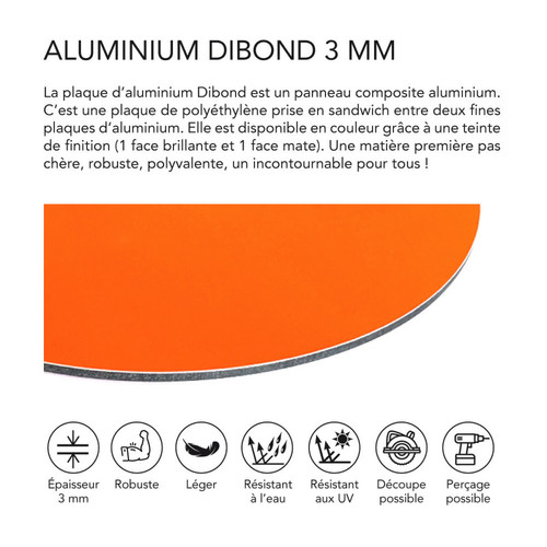Plaque acier et galvanisée Panneau Composite Aluminium Couleur 3 mm Rond - Plaque alu avec au Centre un Polyéthylène (PVC) Aluminium Composite - Diamètre 600 mm - Orange