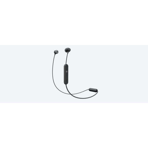 Ecouteurs intra-auriculaires Sony WI-C300