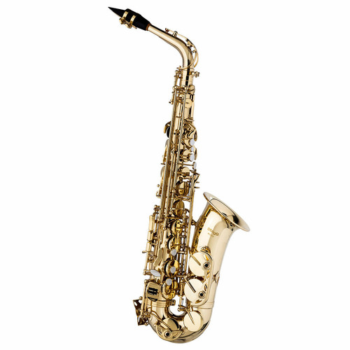 Kit de saxophone de poche Résine portable Mini saxophone Alto avec