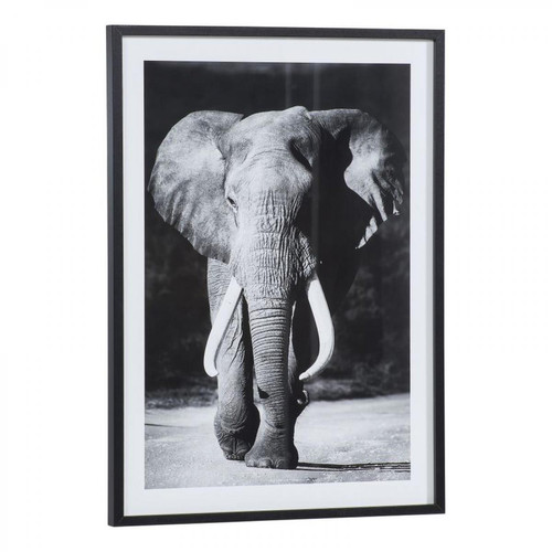 Time - Image 50x70 cm ELEPHANT Noir - Time