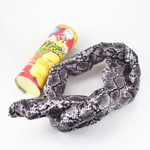 Totalcadeau - Boîte de Chips avec faux serpent à ressort Totalcadeau  - Marchand Aide cadeaux