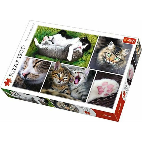 Trefl - Trefl- Katzensachen 1500 Teile, Collage, Premium Quality, für Erwachsene und Kinder AB 12 Jahren Puzzle, TR26145, coloré Trefl  - Puzzles Adultes