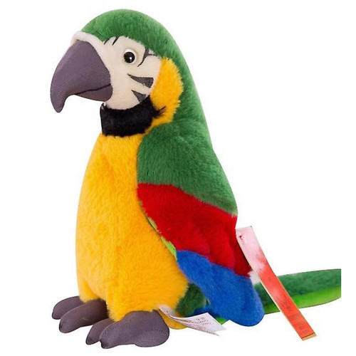 Universal - Ara perroquet peluche, oiseau rouge peluche animal peluche poupée cadeau pour les enfants (vert) Universal  - Peluche oiseau