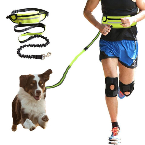 Universal Ceinture pour chien courant nylon main libre produits pour animaux de compagnie harnais jogging plomb ceinture traction ceinture traction corde