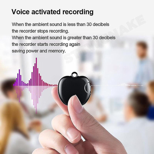 Enregistreur audio numérique Enregistreur vocal 4Go Mini enregistreur audio Micro audio Audio Numérique Professionnel
