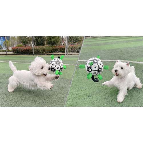 Jouet pour chien Jouet de football interactif pour chiot mordant boule TPU jouet pour animaux de compagnie pour chiot accessoires d'entraînement de chien extérieur | Jouets pour chiens