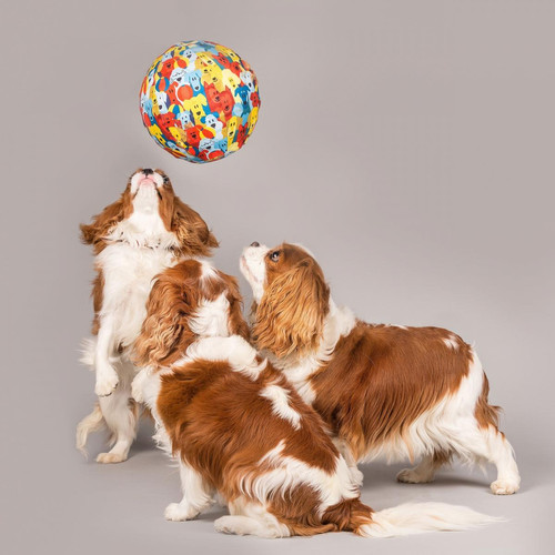 Jouet pour chien Les jouets de ballons pour chiens.