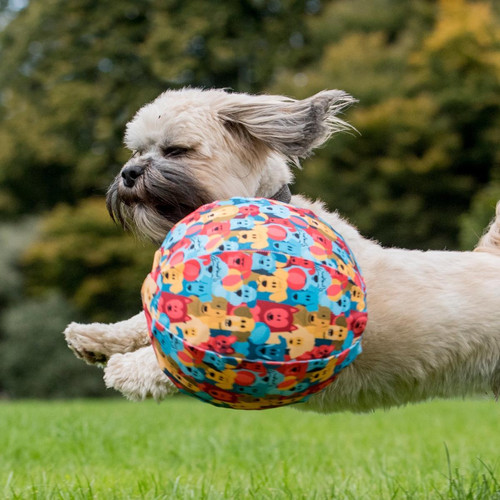 Universal Les jouets de ballons pour chiens.