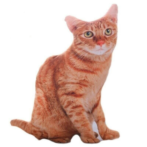Universal - (orange) 50cm 3D simulé CAT oreiller poupée coussin peluche Universal  - Doudous