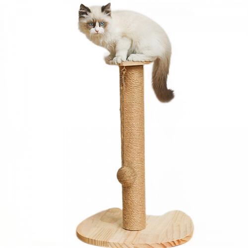 Universal - Petit chat en bois massif simple sisal chat arbre jouet pilier chat attraper chat mentir cadre Universal  - Animalerie