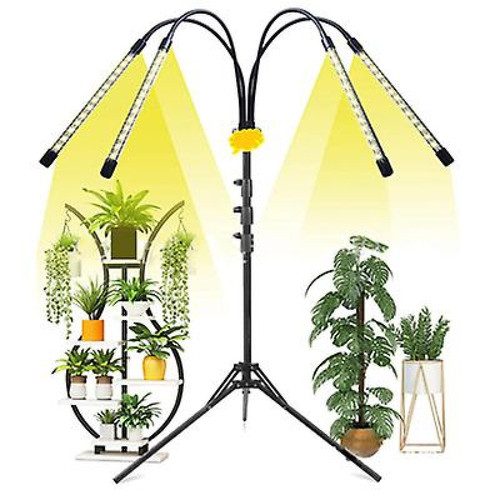 Universal - Plein spectre de la lumière de croissance des plantes domestiques 4 têtes (2 #) Universal  - Lampe croissance