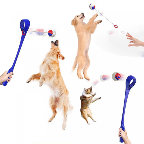 Universal Équipement pour lancer des balles Jouets pour lancer des balles pour chiens Entraînement des chiots Extérieur (bleu lac)