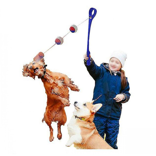Jouet pour chien Équipement pour lancer des balles Jouets pour lancer des balles pour chiens Entraînement des chiots Extérieur (bleu lac)