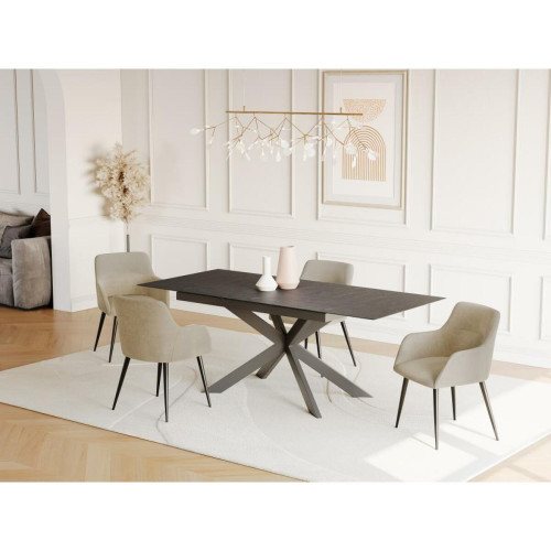 Vente-Unique - Table à manger extensible ALBINA - 6 à 8 couverts - Céramique & Verre trempé - Anthracite de Maison Céphy Vente-Unique  - Table verre extensible