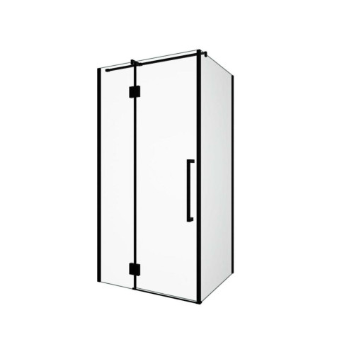 Cabine de douche Vente-Unique Paroi de douche fixe avec porte pivotante noir mat style industriel - 80 x 100 x 190 cm - PRINCETON