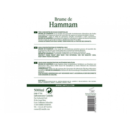 Vente-Unique Huiles essentielles brume de Hammam 5L - EUCALYPTUS/MENTHE