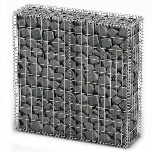 Vidaxl - vidaXL Panier de gabion avec couvercle Fil galvanisé 100 x 100 x 30 cm - Occultant et clôture
