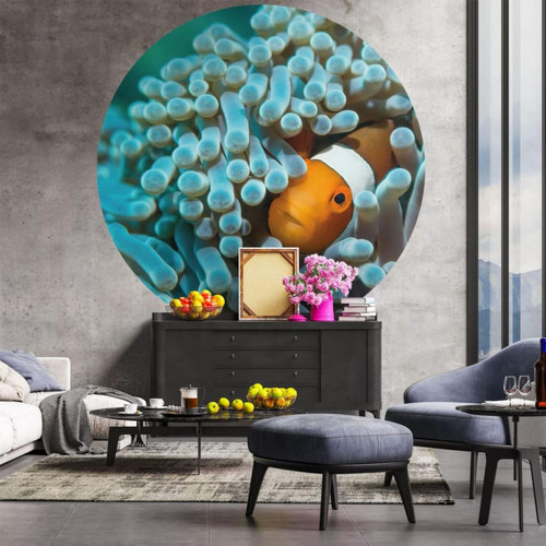 Wallart - WallArt Papier peint cercle Nemo the Anemonefish 190 cm - Revêtement mural intérieur