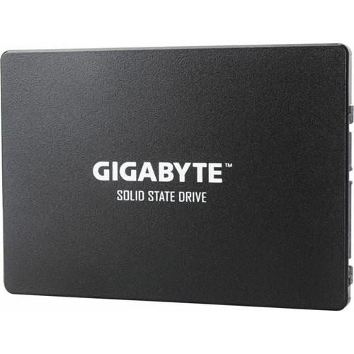 SSD Interne Warner Bros GIGABYTE SSD GP-GSTFS31100TNTD SSD 1TB