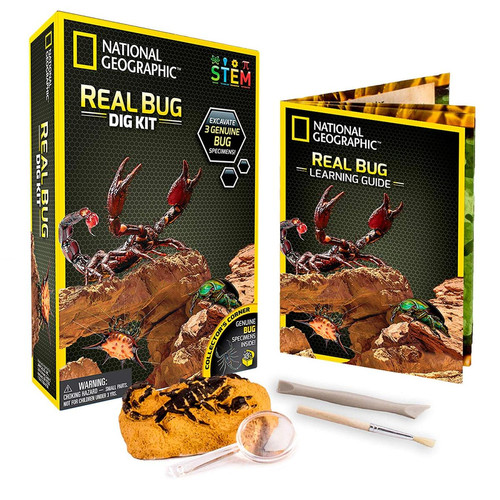 Warner Bros - Bandai - National Geographic - Kit de fouille - 3 insectes à extraire - scorpion, coléoptère et araignée épineuse- Jeu scientifique et éducatif - STEM - JM00646 - Warner Bros