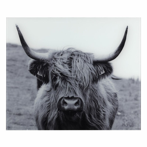 Wenko - Fond de hotte en verre trempé Highland Cattle - Longueur 60 cm x Largeur 50 cm Wenko  - Wenko